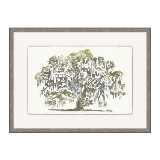 Graceful Moss Veils 1