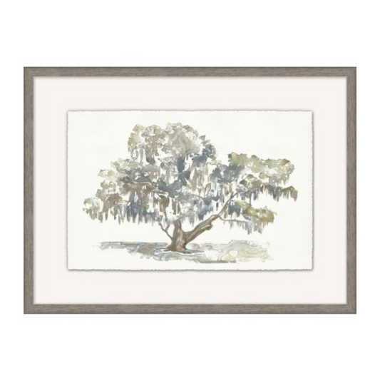 Graceful Moss Veils 3