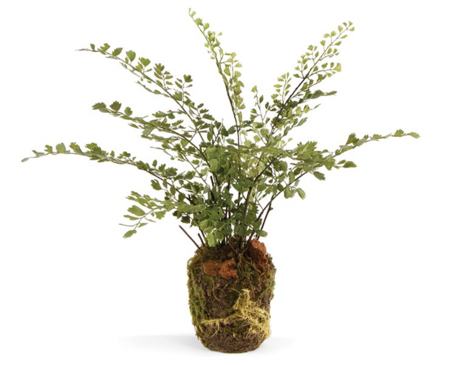 Maiden Hair Drop-In 13"