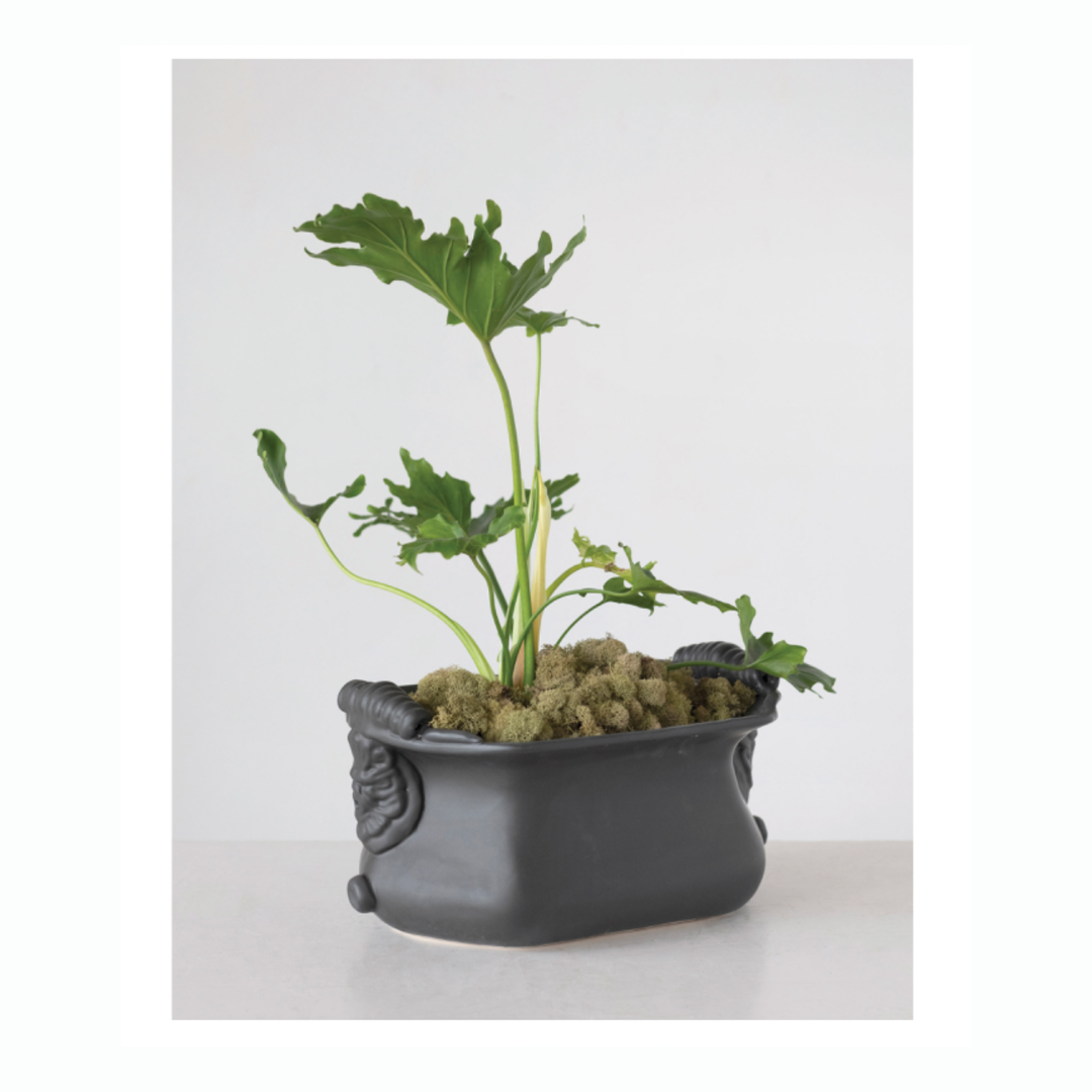 Terracotta Cachepot