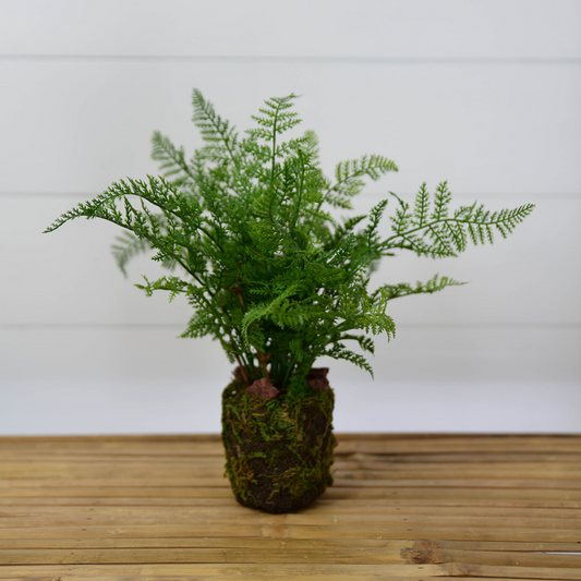 Soft Fern Drop-in