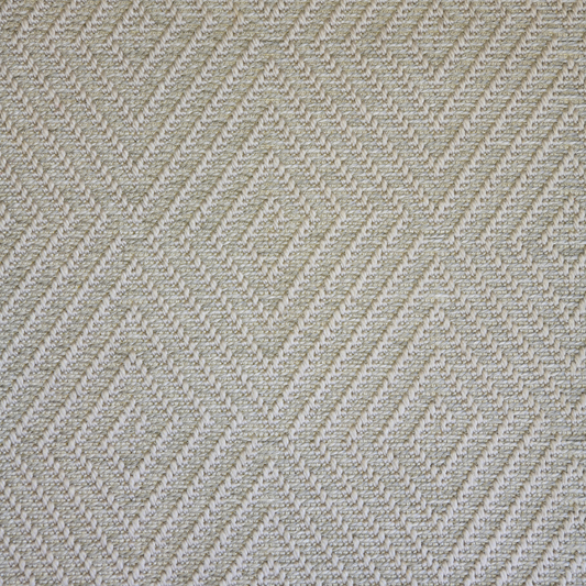 Indoor/Outdoor Rug w/pad