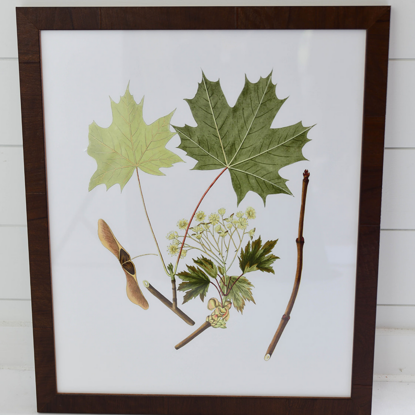 Antique Leaves VI