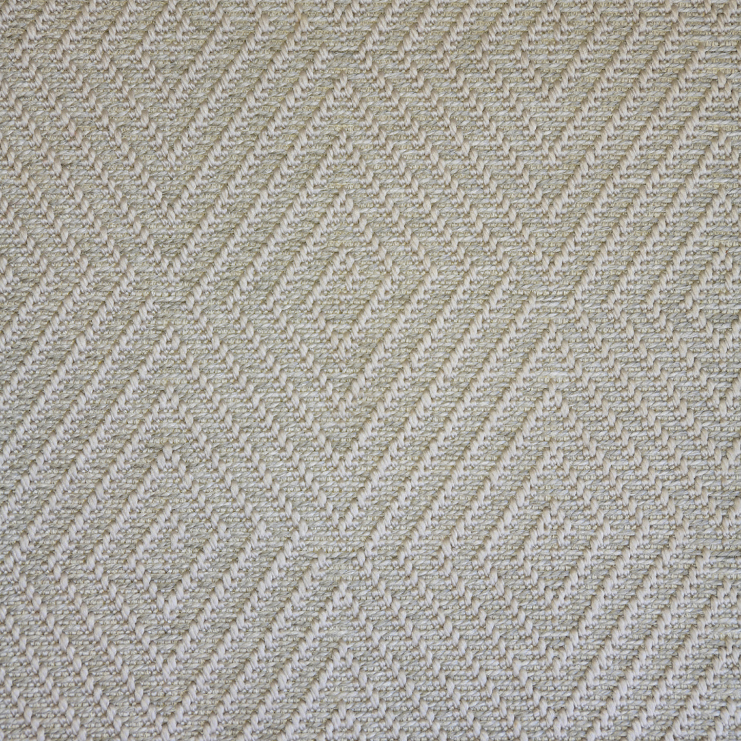 Indoor/Outdoor Rug w/pad